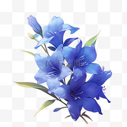 盛开的白色花朵图片_花卉植物蓝铃花草花卉花元素