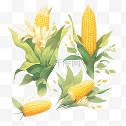 谷物玉米图片_丰收果实玉米金黄色的玉米元素秋