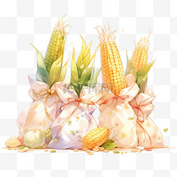 纯白色图片_丰收的金黄色玉米的袋子中的玉米