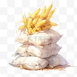 白色的袋子图片_丰收的金黄色玉米的袋子中的玉米