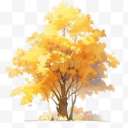 秋天植物法国梧桐树秋天的梧桐树