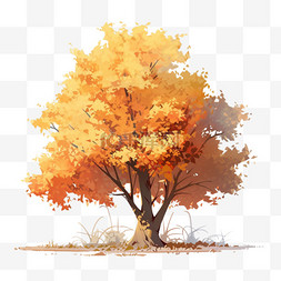 植物叶子写实图片_秋天植物法国梧桐树秋天的梧桐树
