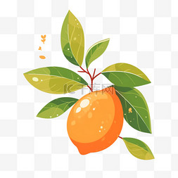 绿叶橘子简约卡通手绘元素