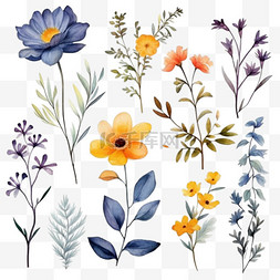 套装组合图片_水彩画的叶子和花朵的组合植物