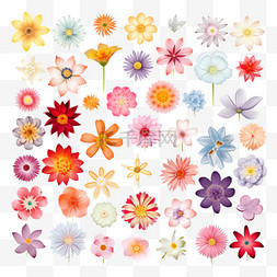 不同花瓣形状的五彩花卉收藏