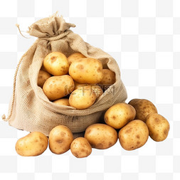 秋收的土豆袋子里免抠摄影图