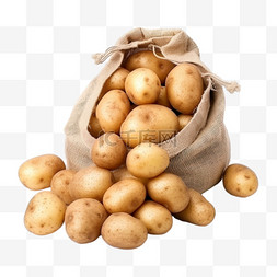 丰收的土豆摄影图免抠