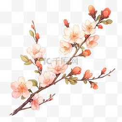 手绘的秋季图片_秋天美女樱花朵植物手绘元素