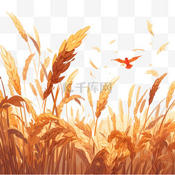 秋天丰收的麦穗麦田