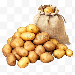 丰收的土豆免抠摄影图