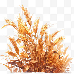 麦穗手绘素材图片_丰收的金黄色麦穗元素
