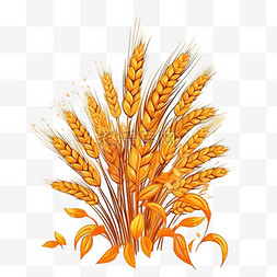 手绘小麦麦穗秋天丰收