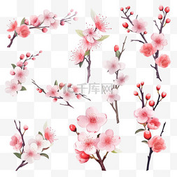 日本设计元素图片_春天春季梅花桃花粉色植物