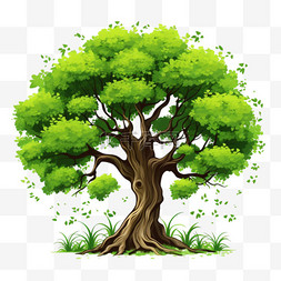 绿色的植物大树树木树