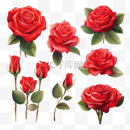 红色花朵植物图片_手绘玫瑰红色花朵植物