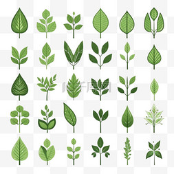 10植物图片_绿叶图标孤立背景上的树叶图标集