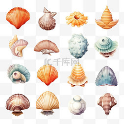 水族馆章鱼图片_具有多种外壳的水生角色集