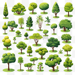 具有各种形状的绿树和灌木的公园