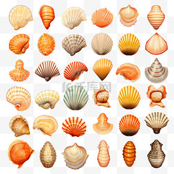 水贝壳图片_具有多种外壳的水生角色集