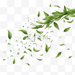 空气问对图片_飘落的茶叶逼真的绿叶飞舞