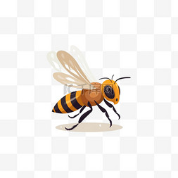 动物设计插图图片_可爱的蜜蜂飞卡通向量图标插图。