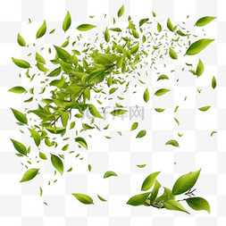 飞舞绿叶图片_飘落的茶叶逼真的绿叶飞舞