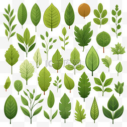 矢量生态绿色树图片_绿叶图标孤立背景上的树叶图标集