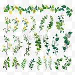 彩色藤本植物或丛林植物平面设置的网页设计。卡通爬枝热带藤本植物和树木孤立的载体插图收藏。雨林、绿色植物和植被概念