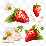 整颗和半颗草莓，带花、叶子和奶油、牛奶或酸奶。