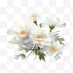 蓝色花花背景图片_盛开的白色花朵