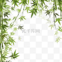 树木隔离图片_白色背景上隔离的带有复制空间的