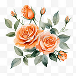水彩桃花玫瑰花束收藏