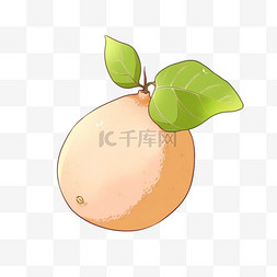 手绘卡通水果背景图片_秋天手绘元素水果柚子