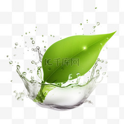飞舞的绿茶和水滴