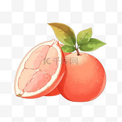 秋天元素水果柚子手绘