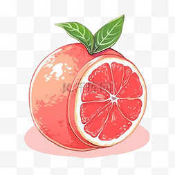 柚子秋天水果手绘元素