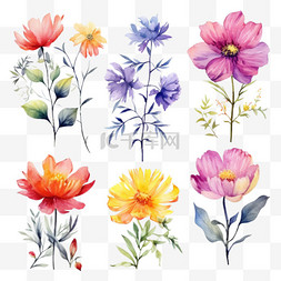 花束白图片_彩色花朵水彩插图集