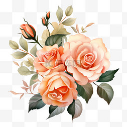 粉色玫瑰花束图片_水彩桃花玫瑰花束收藏