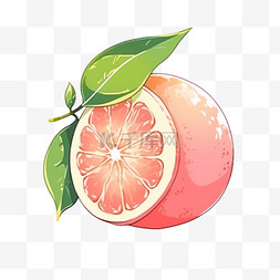 秋天柚子手绘元素水果