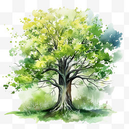 植物树枝叶图片_水彩风格枝叶繁多大树免扣元素