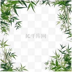 植物边框插图图片_不同形状的竹制框架