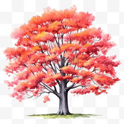 水彩风格红色叶子大树免扣元素