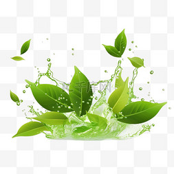 天然绿色植物图片_飞舞的绿茶和水滴