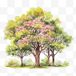 大树免扣png图片_水彩风格粉色绿色大树免扣元素