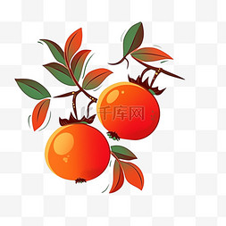 秋天水果柿子手绘元素