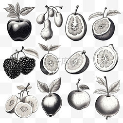 水果系列包装图片_雕刻手绘水果系列