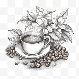 热带树素描图片_带水果和鲜花的咖啡枝手绘插图
