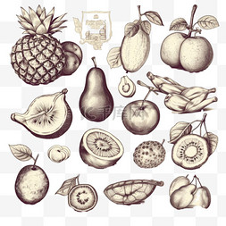 水果系列包装图片_手绘水果系列