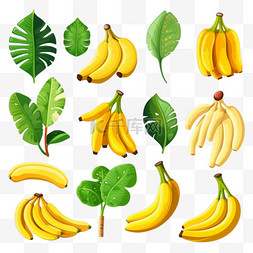 各种香蕉水果平面图标套装。卡通
