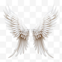 翅膀54图片_一包白色的翅膀